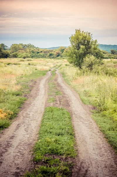 Oude Landelijke Weg Zomer Stijl Getinte Foto — Stockfoto