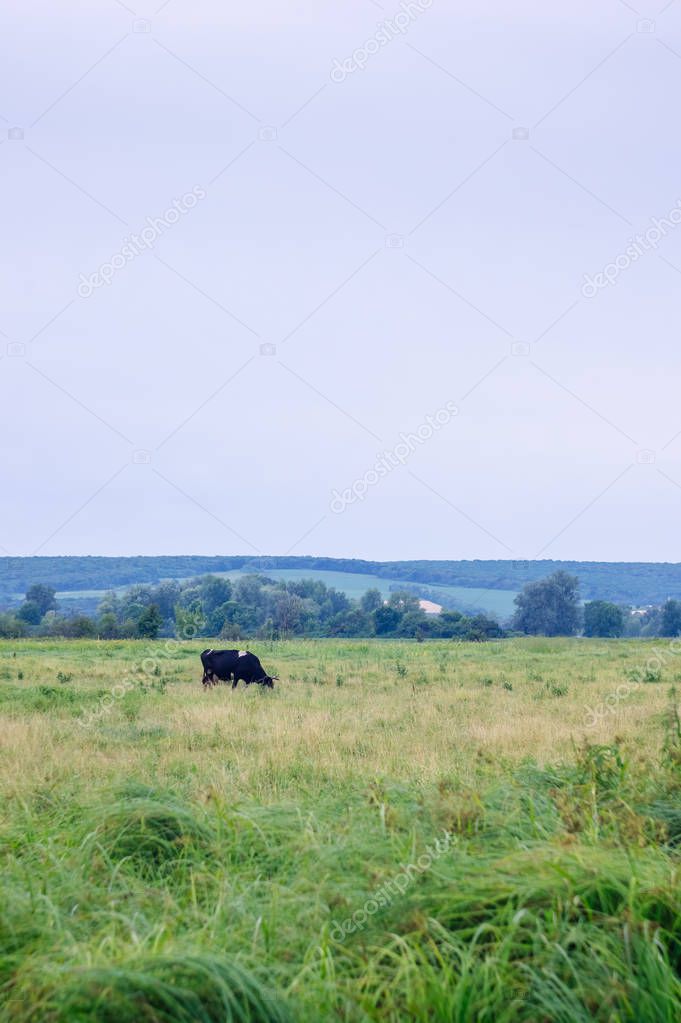 alex862.yandex.ru