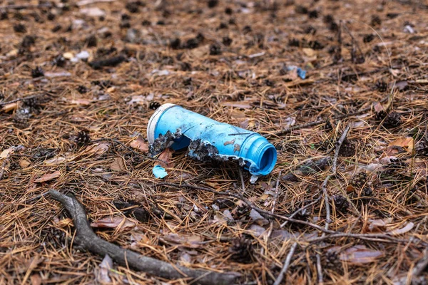 Uszkodzona Plastikowa Butelka Ziemi Sosnowym Lesie Koncepcja Zanieczyszczenia Środowiska — Zdjęcie stockowe
