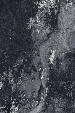 Çatlak ve eski duvar arkaplanı boyası soyulmuş. Tek renkli klasik grunge dokusu