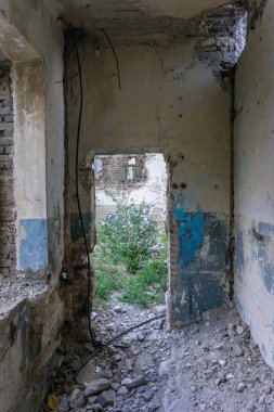 Aşırı büyümüş okul binası terk edilmiş.