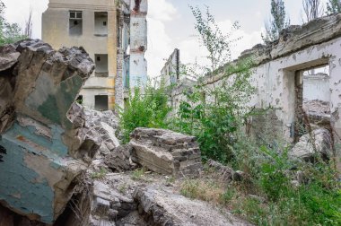 Aşırı büyümüş okul binası terk edilmiş.