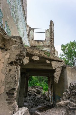 Aşırı büyümüş okul binası terk edilmiş.