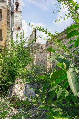 Aşırı büyümüş okul binası terk edilmiş.