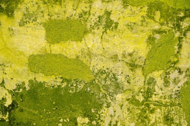 Grunge duvar klasik arka plan. Renk doku. Eski tarzı desen