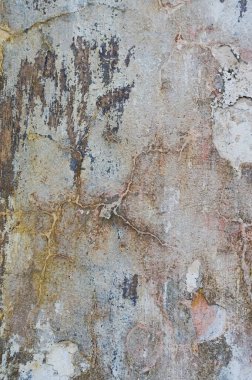 Çatlak ve eski duvar arkaplanı boyası soyulmuş. Klasik grunge dokusu