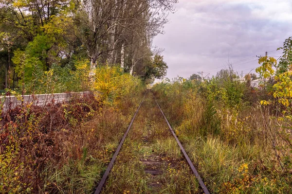 Ferrocarril Viejo Cubierto Otoño — Foto de Stock