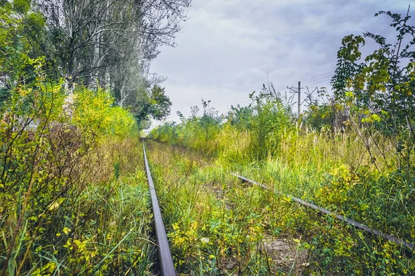 Vieux Chemin Fer Envahi Automne — Photo