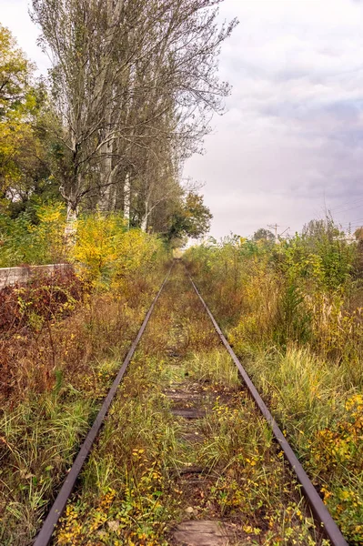 Sonbaharda Eski Fazla Gelişmiş Demiryolu — Stok fotoğraf