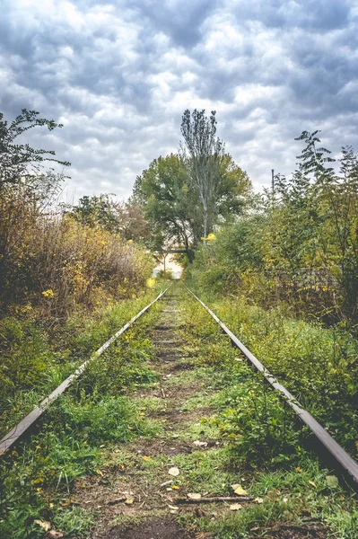 Sonbaharda Eski Fazla Gelişmiş Demiryolu — Stok fotoğraf
