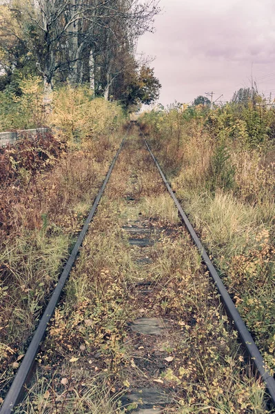 Oude Overwoekerd Spoorwegen Het Najaar — Stockfoto