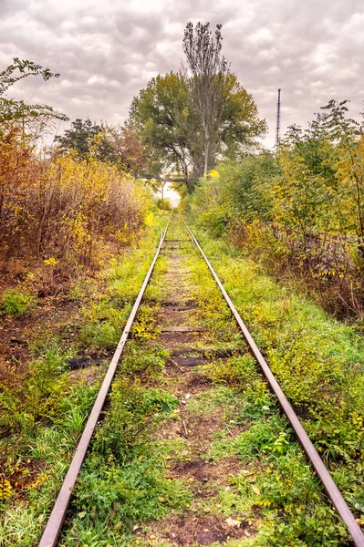 Stare Zarośnięte Kolejowa Jesienią — Zdjęcie stockowe