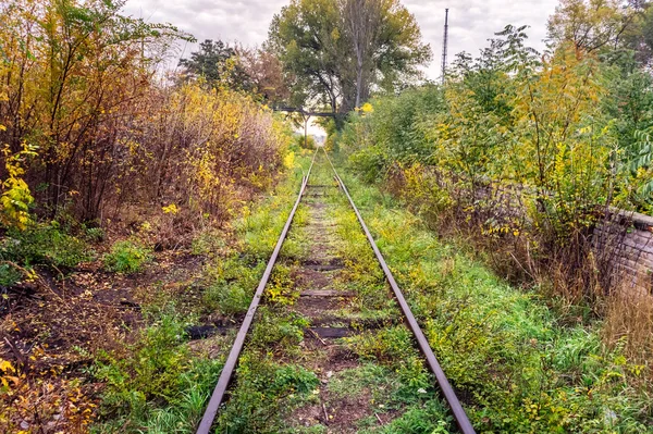 Vieux Chemin Fer Envahi Automne — Photo