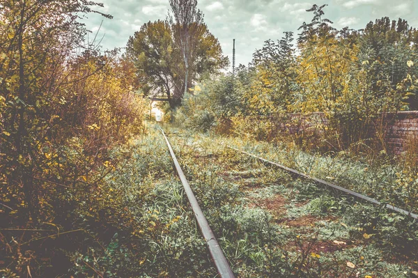 Sonbaharda Eski Fazla Gelişmiş Demiryolu — Stok fotoğraf