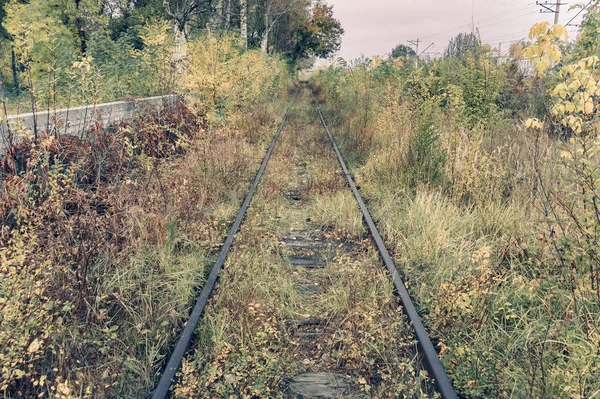 Vecchia Ferrovia Invaso Autunno — Foto Stock