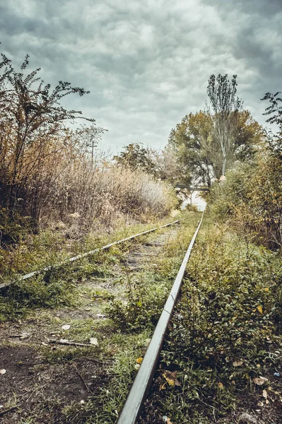 Ferrocarril Viejo Cubierto Otoño — Foto de Stock