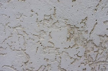 Arka plan olarak dekoratif sıva duvar dokusu. Kabukları böcek tarzı.