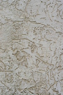 Arka plan olarak dekoratif sıva duvar dokusu. Kabukları böcek tarzı.