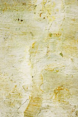 Klasik duvar arka plan doku.