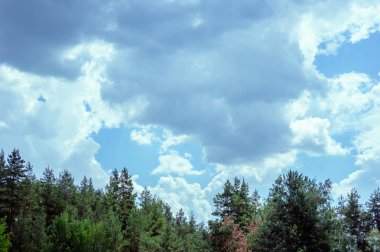 Gökyüzü bulutlar ve iğne yapraklı orman üst kısımları ile.