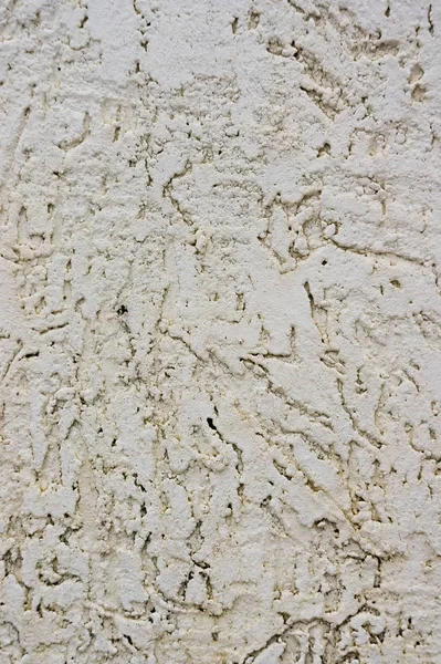 Textura Pared Decorativa Estuco Como Fondo Estilo Escarabajo Corteza — Foto de Stock