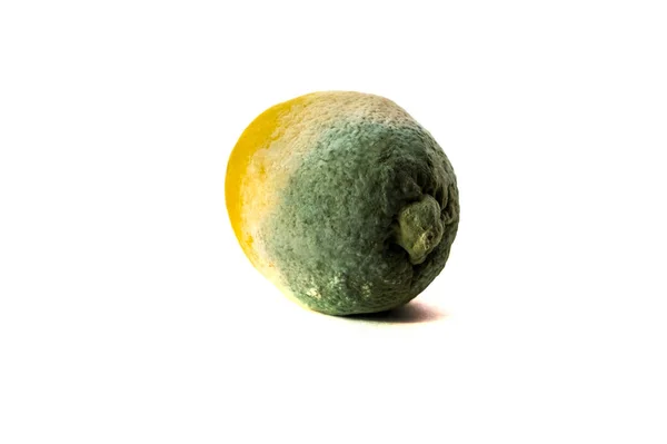 Rotten Lemon Isolated White Background — Stock Photo, Image