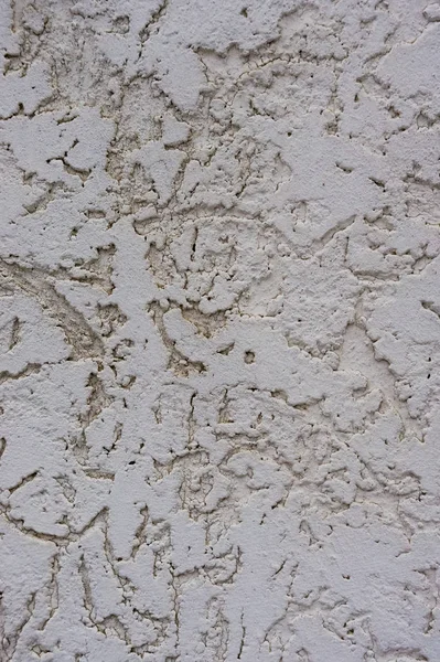 Texture of the decorative stucco wall as a background. Bark beetle style. — Stock Image Texture Decorative Stucco Wall Background Bark Beetle Style Royalty Free Stock Images