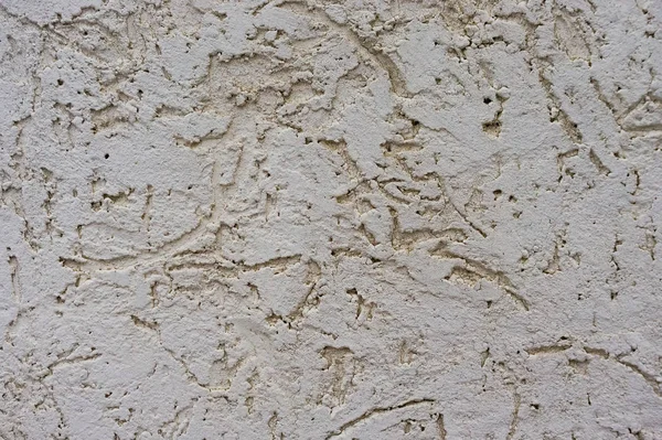 Texture of the decorative stucco wall as a background. Bark beetle style. — Stock Image Texture Decorative Stucco Wall Background Bark Beetle Style Royalty Free Stock Images