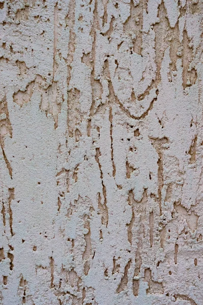 Texture of the decorative stucco wall as a background. Bark beetle style. — Stock Image Texture Decorative Stucco Wall Background Bark Beetle Style Stock Image