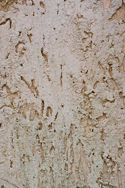 Texture of the decorative stucco wall as a background. Bark beetle style. — Stock Image Texture Decorative Stucco Wall Background Bark Beetle Style Royalty Free Stock Images
