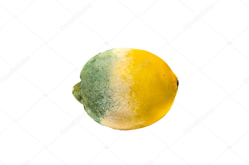 Rotten lemon isolated on white background