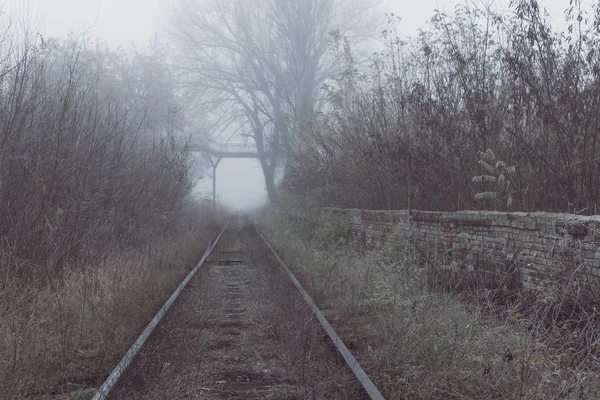 Chemin Fer Vide Matin Brumeux — Photo