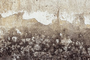 Çatlak ve eski duvar arkaplanı boyası soyulmuş. Klasik grunge dokusu