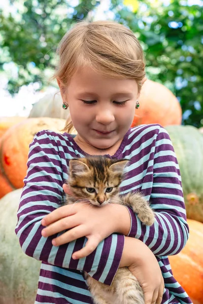 Linda Niña Con Gatito — Foto de Stock