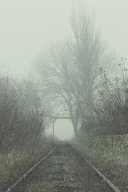 Sisli sabah boş demiryolu