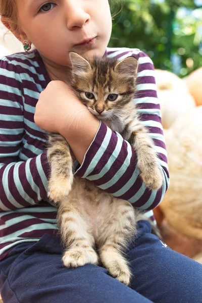 Linda niña con gatito — Foto de Stock