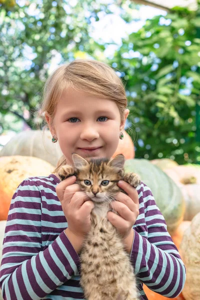 Linda niña con gatito — Foto de Stock