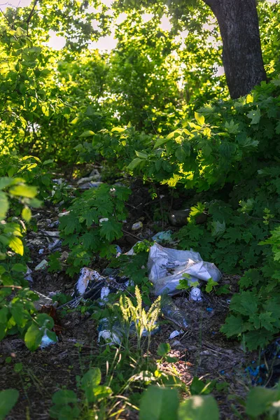 STENKI, UKRAINE - MAI 18, 2019 : Un tas de détritus parmi les arbres — Photo