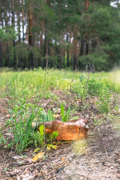 Bruine plastic fles op de grond in een dennenbos. — Stockfoto