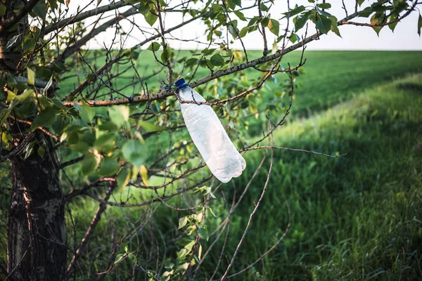 Botella de plástico vacía en un árbol al atardecer . — Foto de Stock