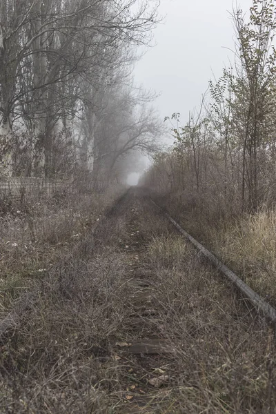 Chemin de fer vide le matin brumeux — Photo