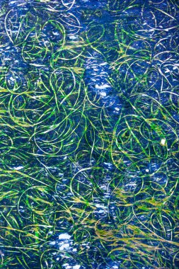 Güzel grunge soyut arka plan dokusu.