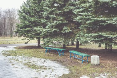 İki bank ve çöp kutusundaki çöp kutusu. Erken ilkbahar, s