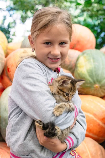 Linda niña con gatito — Foto de Stock