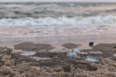 Deniz kıyısında plastik çöp