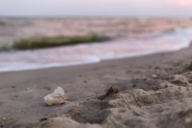 Deniz kıyısında küçük bir plastik bardak.