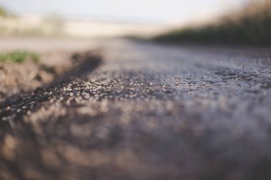 Toprak bir yola dağılmış buğday taneleri