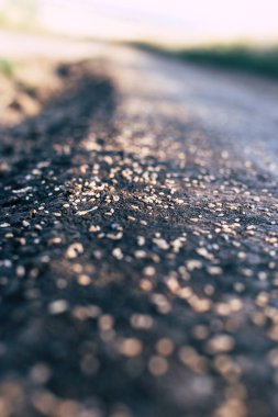 Toprak bir yola dağılmış buğday taneleri