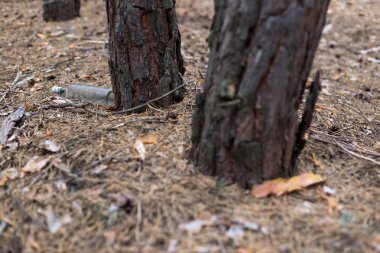 Çam ormanında yerde cam bir şişe..