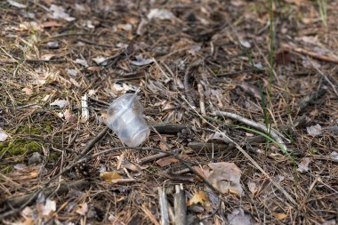 Bir çam ormanında yerde plastik bardak
